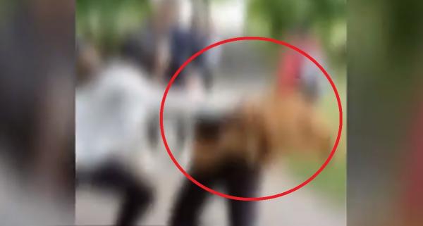 Elevă snopită în bătaie la Timişoara. Fata de 15 ani a fost bătută de agresoare în timp ce colegii filmau