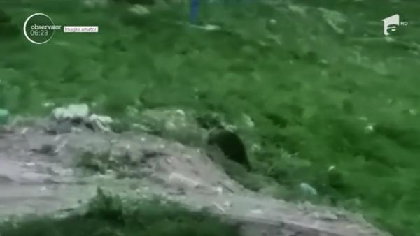 Imagini spectaculoase surprinse pe Transfăgărăşan