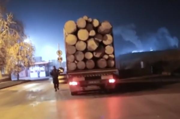 Zeci de percheziţii în România, pe urmele lemnului furat. Mascaţii au descins şi la direcţiile silvice din Suceava şi Hunedoara