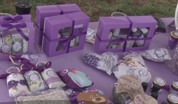 De ce a devenit lavanda o afacere profitabilă și pentru români