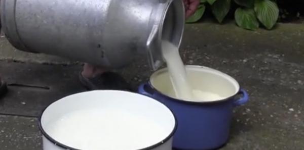 Mii de litri de lapte donaţi de un fermier din Arad, după ce o furtună l-a lăsat fără curent electric