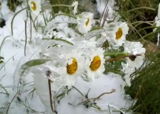 Temperaturile au scăzut cu 20 de grade în mai puţin de 24 de ore. La munte a nins