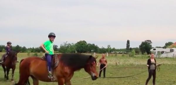 Tabere pentru cei îndrăgostiţi de echitaţie, la Satu Mare