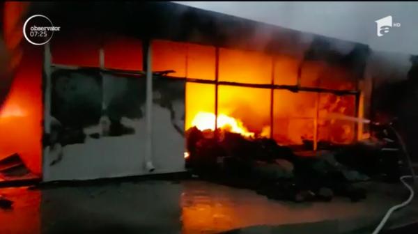 O hală de aproape 600 de metri pătraţi s-a făcut scrum în Bacău