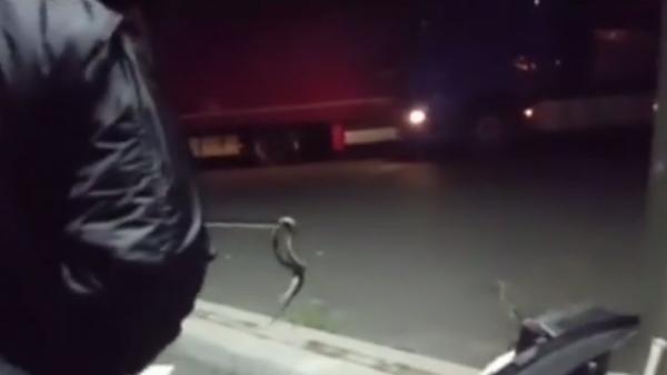 Călătorie cu peripeţii şi pentru un şofer care a traversat autostrada Lugoj-Deva!