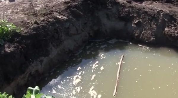 Detalii teribile în cazul celor doi verişori din Vaslui, găsiţi înecaţi într-un iaz. Copiii abia ieşiseră la joacă