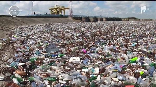 Tonele de gunoaie care sufocă râul Olt au fost aduse de ploile din ultimele zile