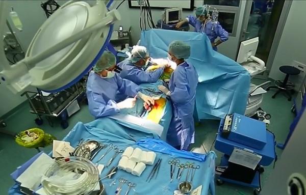 Un copil a dat viaţă după moarte! Inima lui bate acum în pieptul unui alt băiat, iar ficatul său a salvat o fată orfană