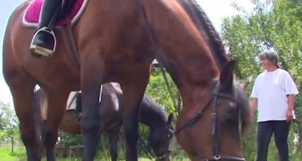 Vacanță cu activități în aer liber. Un medic veterinar din Mureș organizează acasă cursuri de călărie pentru copii