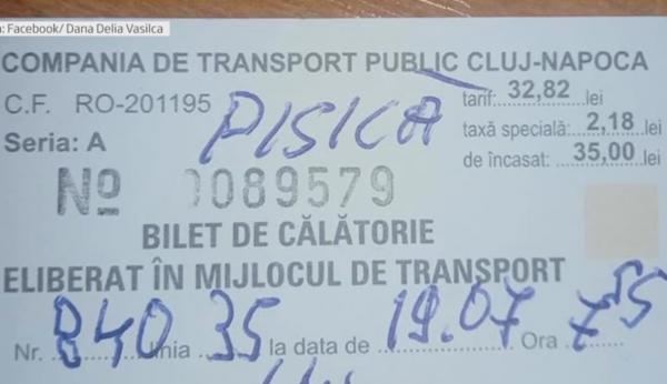 Reacția stăpânei pisicii amendate pentru că nu avea bilet, într-un autobuz din Cluj