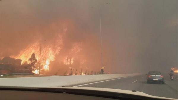 Români, martori la incendiile din Grecia: " Era ca un zid de flăcări, am auzit ţipete din apă"