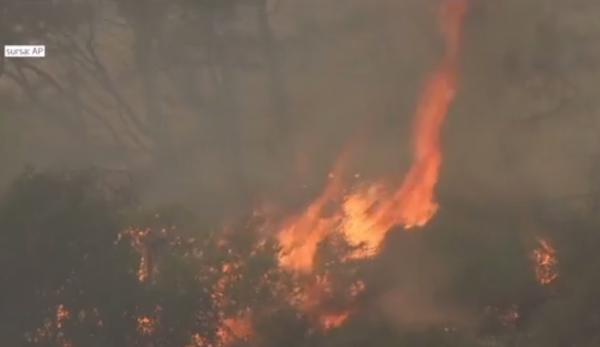 Bilanţ cutremurător în urma incendiilor de vegetaţie din Grecia. Oamenii au pierit chiar în maşinile cu care încercau să fugă din calea flăcărilor