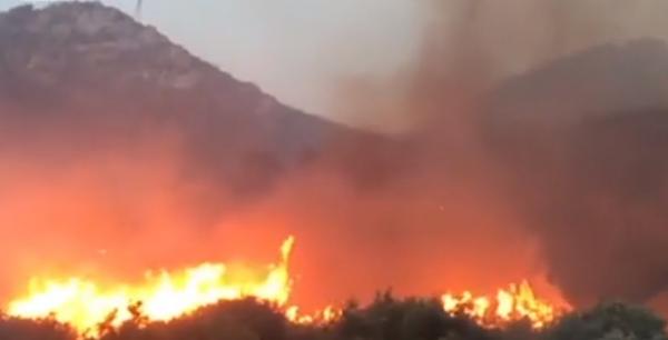 Mai multe incendii de vegetaţie au izbucnit şi în Sicilia. Autorităţile au deschis o anchetă