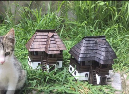 Un vâlcean şi-a făcut acasă un muzeu al satului în miniatură. Stă și câte 11 ore pe zi în atelier