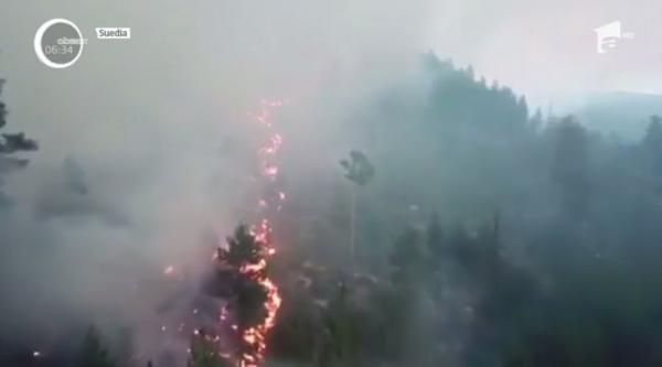 Valul de caniculă continuă să facă ravagii! În Germania, pista unui aeroport pur şi simplu s-a topit