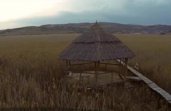 Colț de rai în "Delta Ardealului" - Stufărişurile de la Sic