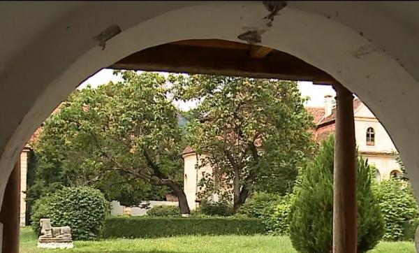 Pastila de vacanță. Arborii nobililor din inima Transilvaniei