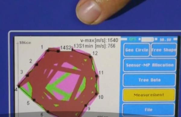 Un bistriţean a propus autorităţilor să cumpere un tomograf pentru copaci