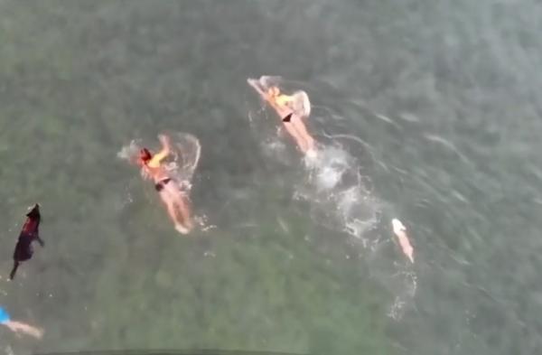 Competiție de înot pentru câini și stăpâni, organizată în Croația. La final, patrupedele au băut bere pentru căței