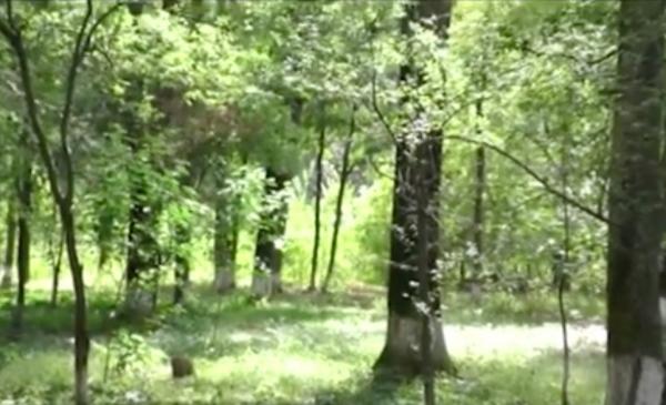 Vânător din Olt, mort după ce a fost împușcat din greșeală și a refuzat ajutorul medicilor