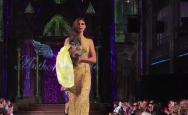 Mai mulţi căţei au fost în centrul atenţiei la Săptămâna Modei de la New York, într-o colecţie inedită de haine pentru patrupezi