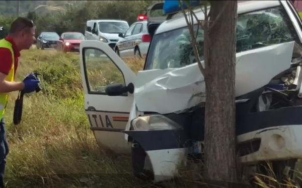 Polițist din Iași, cu mașina în copac din cauza unei căprioare. Agentul se urcase băut la volan