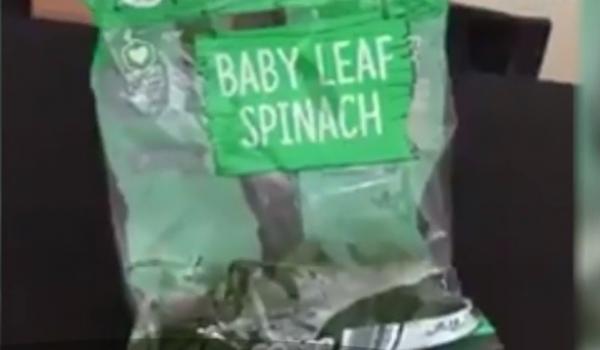 Este alertă în Irlanda, după descoperirea unor noi legume contaminate cu bacteria Listeria