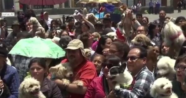 Sărbătoare inedită la o mănăstire catolică din Lima. Zeci de animale au fost aduse pentru a primi binecuvântarea
