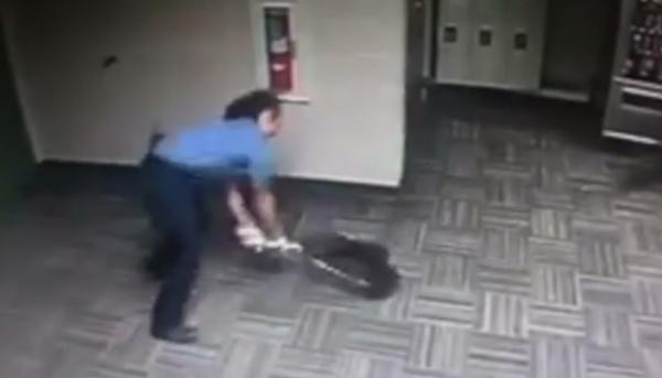 Poliţiştii unui orăşel din Texas au avut parte de o "spargere" inedită. Doi ratoni s-au strecurat pe neaşteptate în sediul lor
