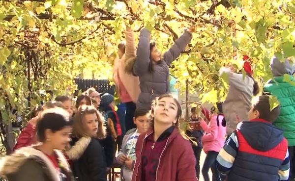 Peste 500 de elevi dintr-o şcoală din Târgu Mureş au învăţat astăzi cum să facă must