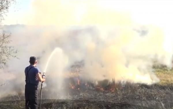 Sute de hectare de vegetaţie au fost mistuite de incendii în judeţul Mehedinţi
