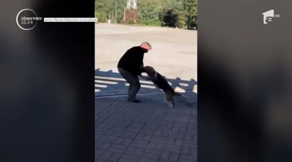 Povestea unei revederi emoţionante. Câine redat stăpânului, după ce omul a făcut un accident pe Valea Oltului