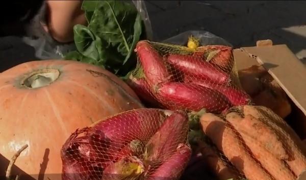 Lădița cu legume crescute ca în grădina bunicilor vine acum prin curier