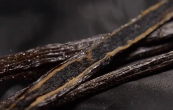 Prețul vaniliei a crescut de 100 de ori, după ce un ciclon puternic a distrus culturile din Madagascar