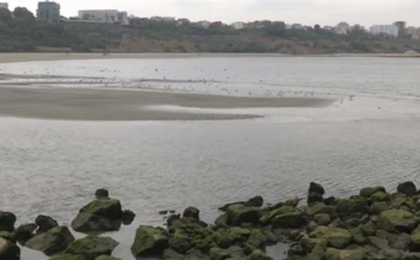 Un fenomen rar i-a surprins pe constănţeni. Marea s-a retras aproape 20 de centimetri, iar în larg au apărut mici insule de nisip