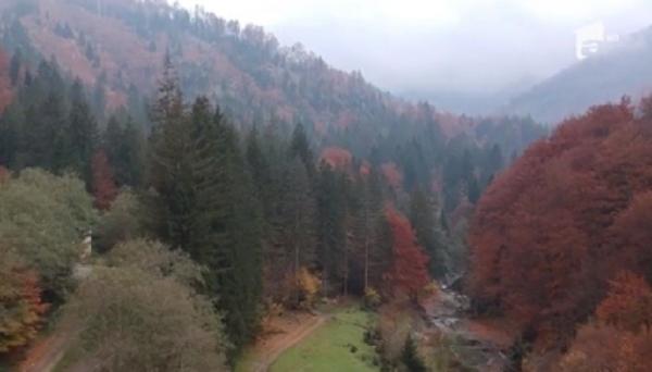 Valea Avrigului, raiul de la poalele Făgărașului aflat la 30 de kilometri de Sibiu