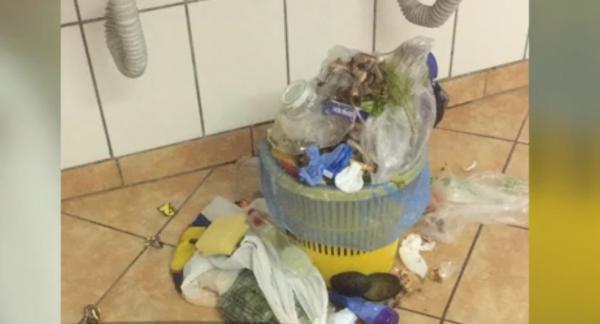 Universitatea Bucureşti, amendă pentru mizeria din cămine. Studenţii dormeau printre gândaci şi şobolani