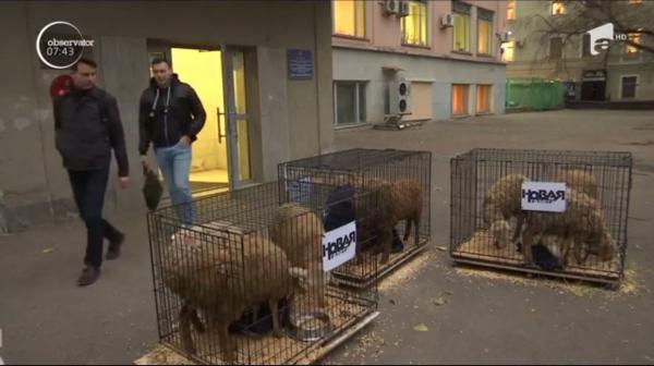 La Moscova, redacţia unui ziar a primit un mesaj şocant. În ultimii 18 ani, şase membri ai redacţiei au fost asasinaţi.