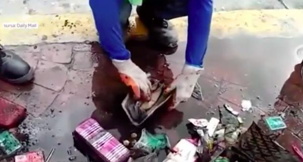 Surpriză pentru trei muncitori din Filipine, chemaţi să cureţe un canal de evacuare a apelor