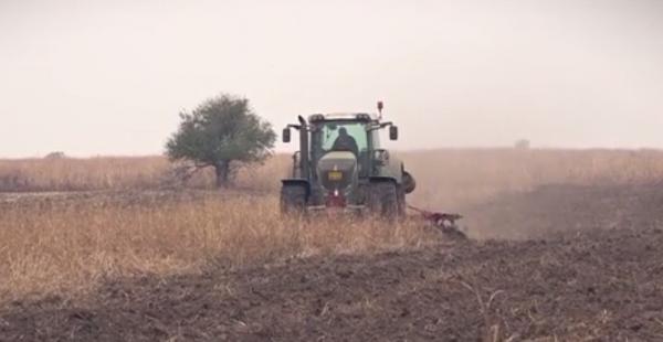 Fermierii din Mehedinți sunt disperați. De trei luni nu a mai căzut niciun strop de ploaie