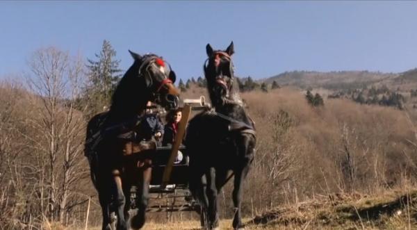 Caii de Hollywood ai României, care au apărut în filme cu Nicole Kidman, Jude Law, Kevin Costner