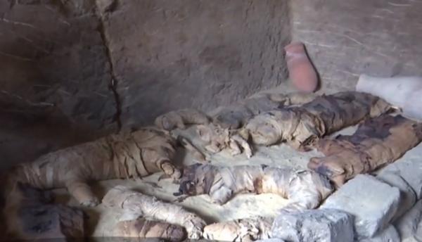 Zeci de scarabei şi pisici mumificate, descoperite în Egipt