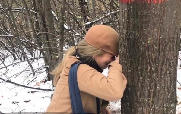 Filmul descoperirii tabloului de Picasso, furat acum 6 ani. Pânză statea la rădăcina unui copac din Tulcea