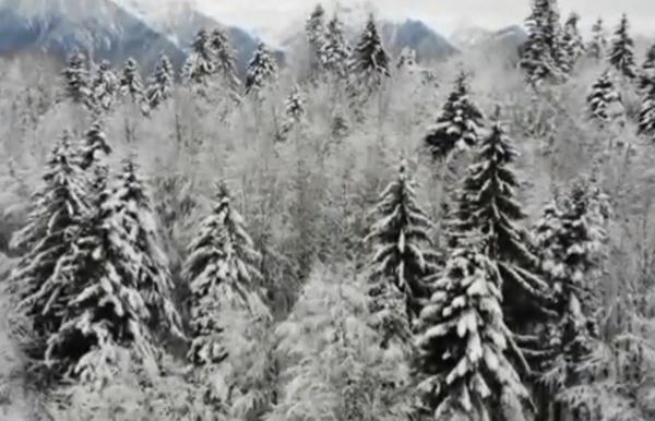 A intrat în vigoare codul galben de vreme rea. Trei sferturi de ţară va fi acoperită de zăpadă