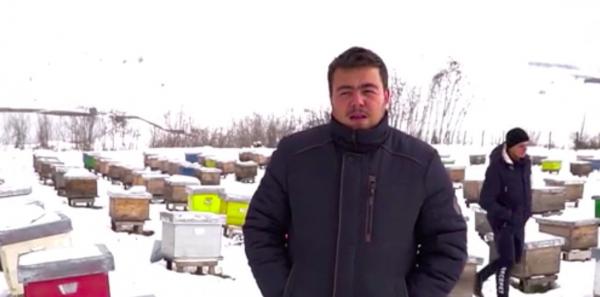 Un tânăr a lăsat medicina pentru a urma o meserie mai puţin căutată, cea de apicultor.