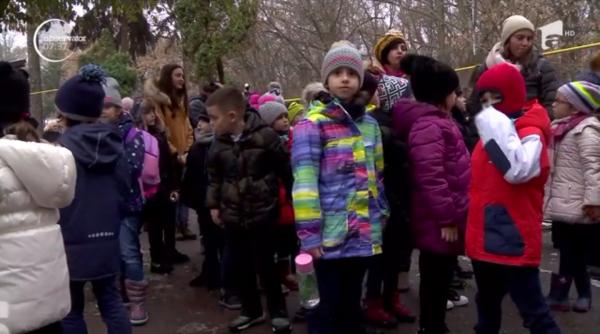 Spiritul Crăciunului a ajuns şi la Grădina Zoologică din București