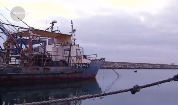 La malul Mării Negre, ducem lipsă de peşte! Din ce cauză a dispărut o întreagă industrie