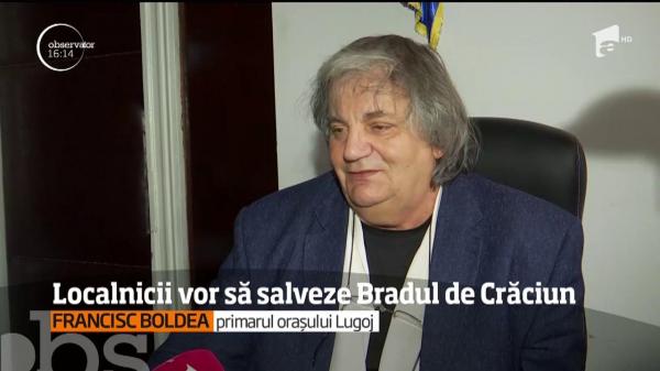 Bradul de Crăciun din centrul Lugojului pare urmărit de ghinion. După ce a fost târât ca o mătură pe străzi, bradul a rămas neîmpodobit