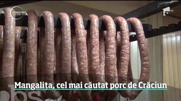 Porcul din rasa Mangaliţa, căutat pentru delicatese