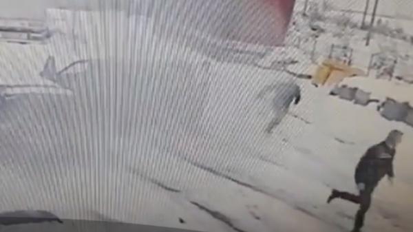 Șoferul fugar din Bistriţa s-a predat. Bărbatul s-a prezentat la Poliţie cu o tavă de prăjituri!